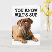 MASTIFF DOG BIRTHDAY FUNNY CARD KARTE (Gelbe Blume)