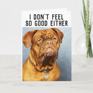MASTIFF DOG FUNNY BEKOMMEN GUTE KARTEN