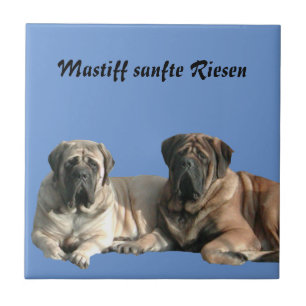 Mastiff  englische Dogge Fliese