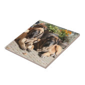 Mastiff  englische Dogge Fliese (Seite)