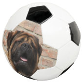 Mastiff englische Dogge Fußball (Dreiviertel)