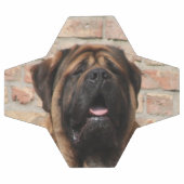 Mastiff englische Dogge Fußball (Flach)