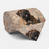 Mastiff englische Dogge Krawatte (Gerollt)