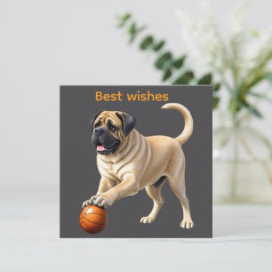 Mastiff englische Dogge mit Ball im Urlaub
