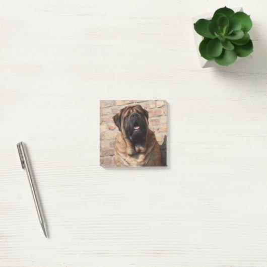 Mastiff englische Dogge Post-it Klebezettel (Büro)