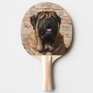 Mastiff englische Dogge Tischtennis Schläger
