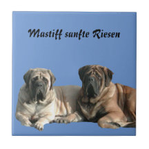 Mastiff englische Dogge Urlaub
