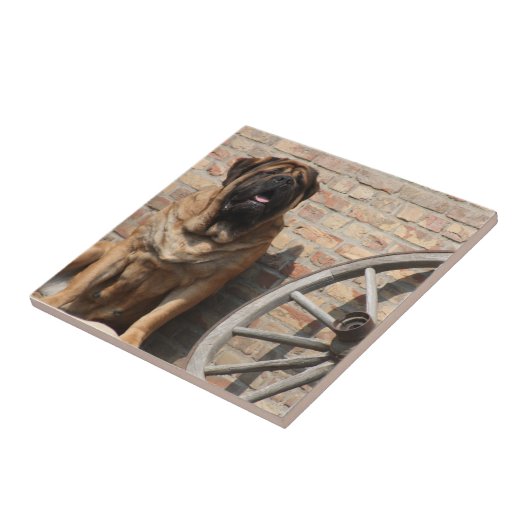 Mastiff englische Dogge Urlaub Fliese (Seite)
