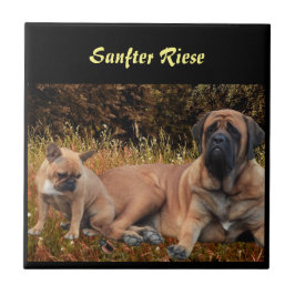 Mastiff englische Dogge Urlaub Fliese