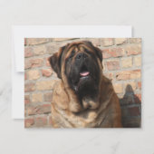 Mastiff englische Dogge Vatertag Einladung (Vorderseite)