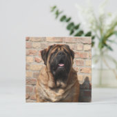 Mastiff englische Dogge Vatertag Einladung (Stehend Vorderseite)