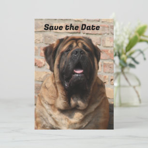  Mastiff englische Dogge Vatertag  Einladung