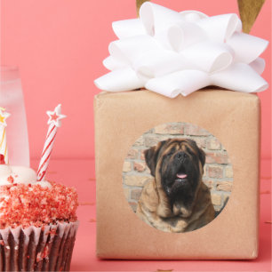  Mastiff englische Dogge Vatertag  Runder Aufkleber