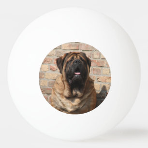  Mastiff englische Dogge Vatertag  Tischtennisball