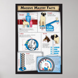 Mastiff Facts Poster