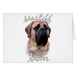 Mastiff (fawn) Mama 2