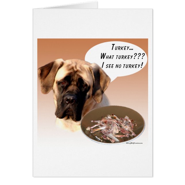 Mastiff (fawn) Türkei (Vorne)