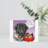 Mastiff (flauschig) Halloween Candy Postkarte (Stehend Vorderseite)