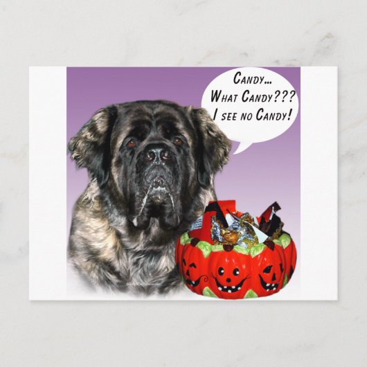 Mastiff (flauschig) Halloween Candy Postkarte (Vorderseite)