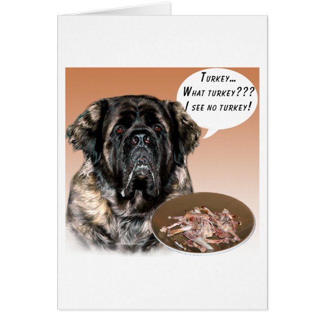 Mastiff (flauschig) Türkei (Vorne)