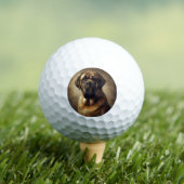Mastiff Golfball (Insitu T-Shirt)