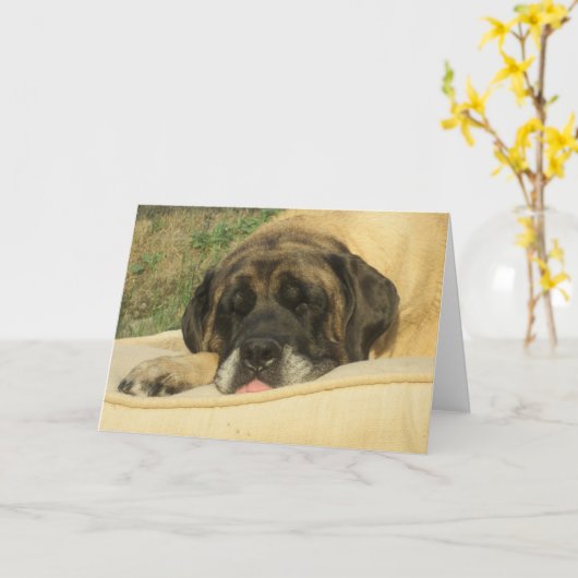 Mastiff Greeting Karte (Gelbe Blume)