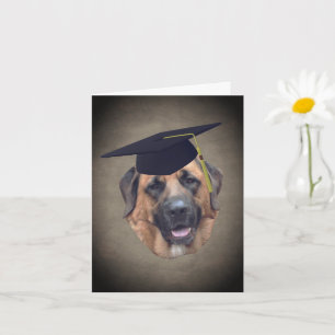Mastiff Hund in Graduiertenkap-Karte Karte
