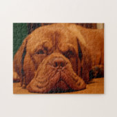 Mastiff Hund Rasse. Puzzle (Horizontal)