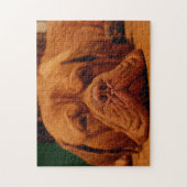 Mastiff Hund Rasse. Puzzle (Vertikal)