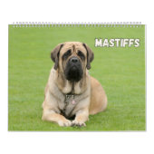 Mastiff Hunde, Mastiffs Kalender (Titelbild)
