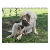 Mastiff-Kalender Kalender (Titelbild)