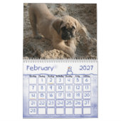 Mastiff-Kalender Kalender (Feb 2027)