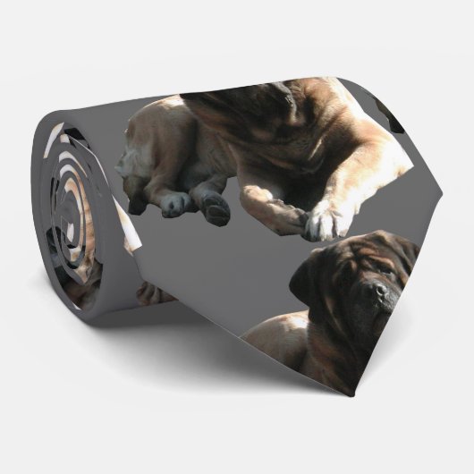 Mastiff Krawatte (Gerollt)