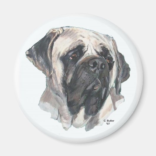 Mastiff Magnet (Vorne)