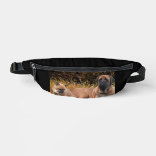 Mastiff mit französische Bulldogge Bauchtasche