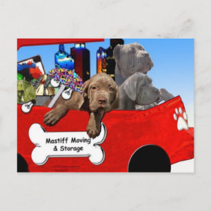 Mastiff Moving & Storage Postkarte