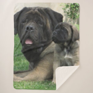 MASTIFF-MUTTER und WELPE Sherpadecke
