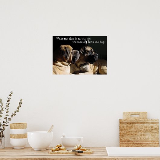 Mastiff Pair Poster (Küche)