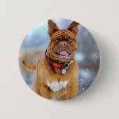 Mastiff Plus Button (Vorderseite)