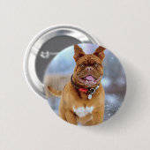 Mastiff Plus Button (Vorne & Hinten)