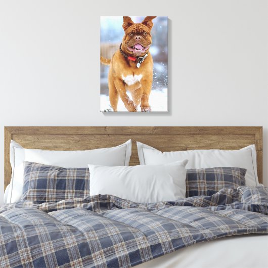 Mastiff Plus Leinwanddruck (Insitu (Schlafzimmer))