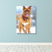 Mastiff Plus Leinwanddruck (Insitu (Holzboden))