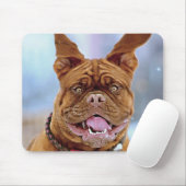 Mastiff Plus Mousepad (Mit Mouse)
