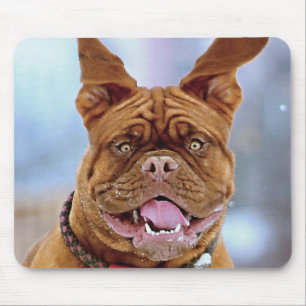Mastiff Plus Mousepad