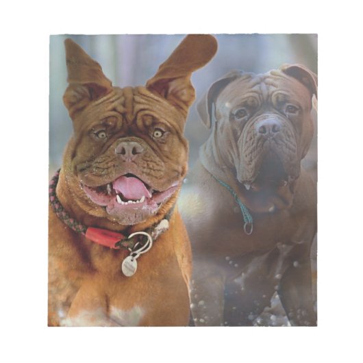 Mastiff Plus Notizblock (Vorderseite)