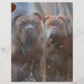 Mastiff Plus Paper (Rückseite)