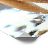 Mastiff Plus Poster (Ecke)