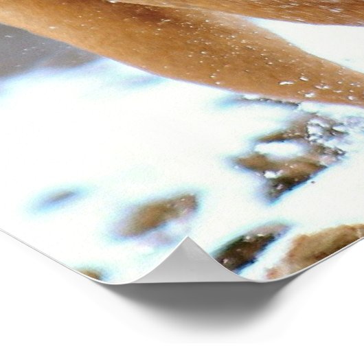 Mastiff Plus Poster (Ecke)