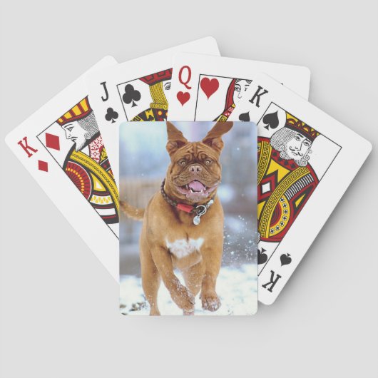 Mastiff Plus Spielkarten (Rückseite)