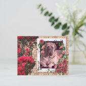Mastiff Postkarte mit Blumen (Stehend Vorderseite)